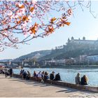 Frühlingsbeginn am Main genießen