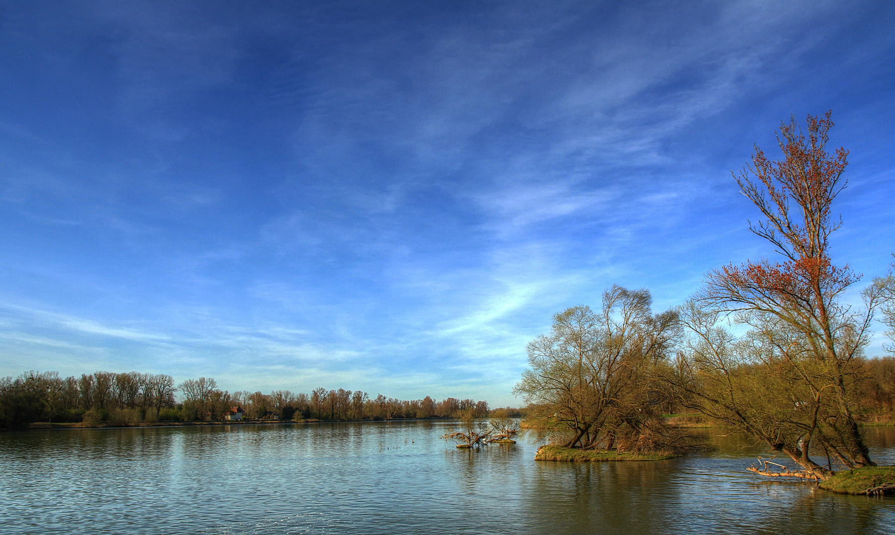 Frühlingsbeginn am Rhein