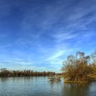 Frühlingsbeginn am Rhein