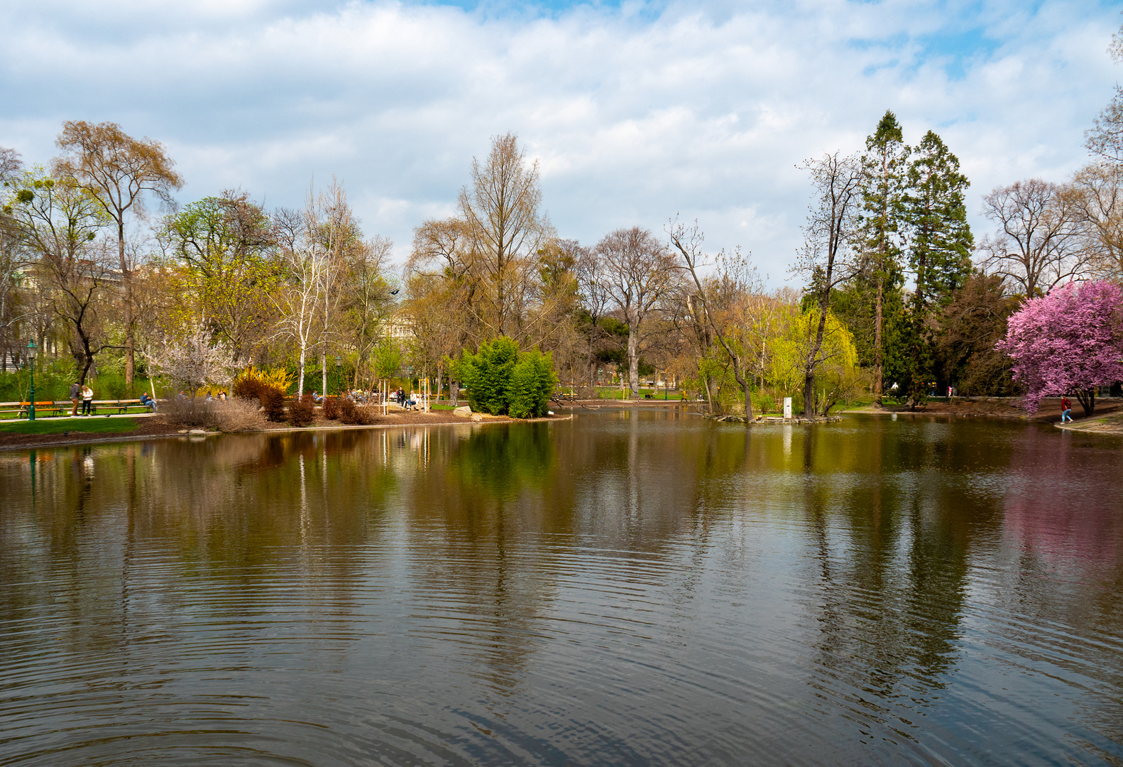 frühlingsbeginn am teich...