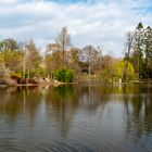 frühlingsbeginn am teich...