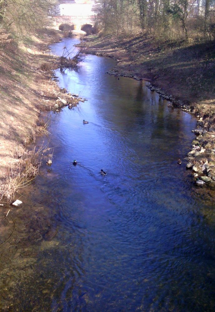 Frühlingsbeginn an der Elz