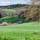 Frühlingsbeginn auf dem Ottweiler Flur (Saarland)