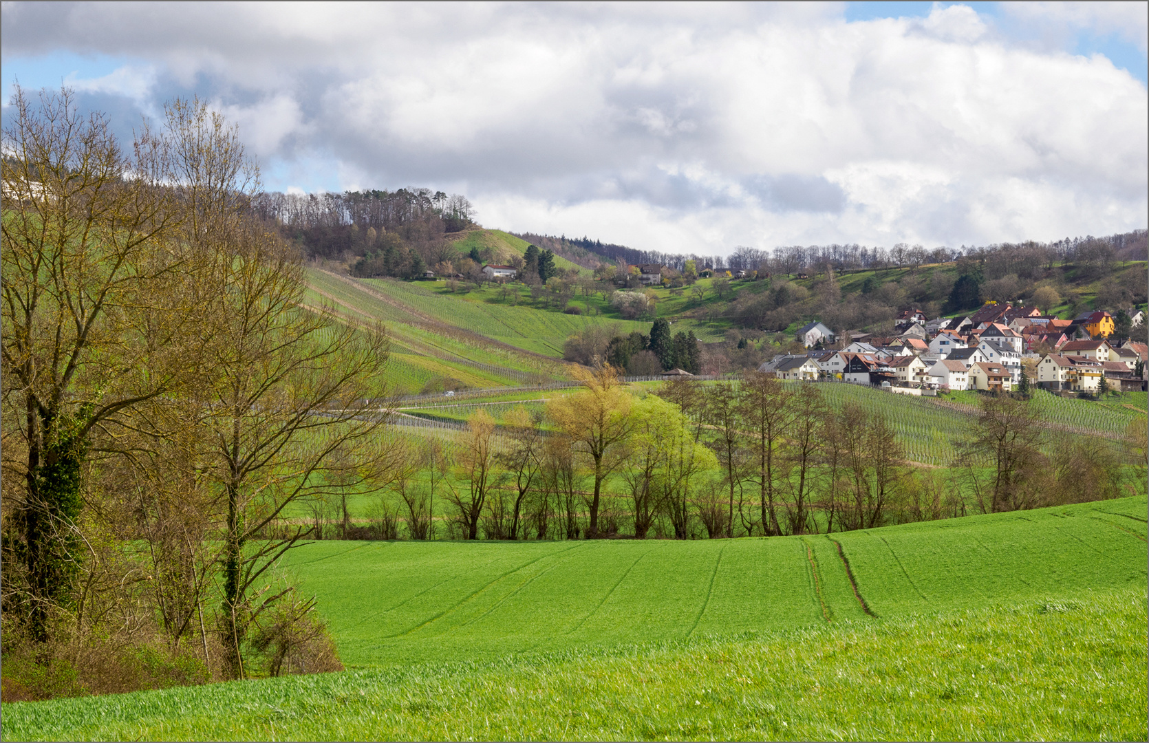 Frühlingsbeginn bei uns in der Umgebung