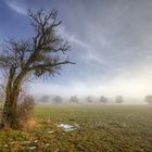 Frühlingsbeginn im Hohen Venn