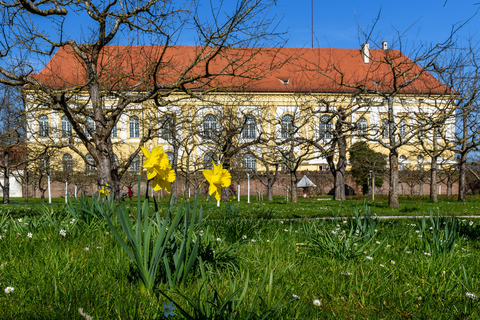 Frühlingsbeginn im Schlosspark Dachau, Bayern 