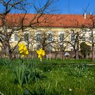 Frühlingsbeginn im Schlosspark Dachau, Bayern 