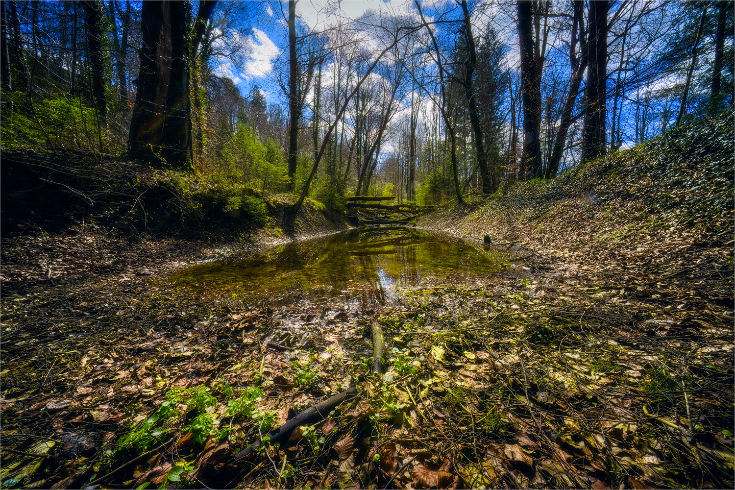 Frühlingsbeginn in den Isarauen