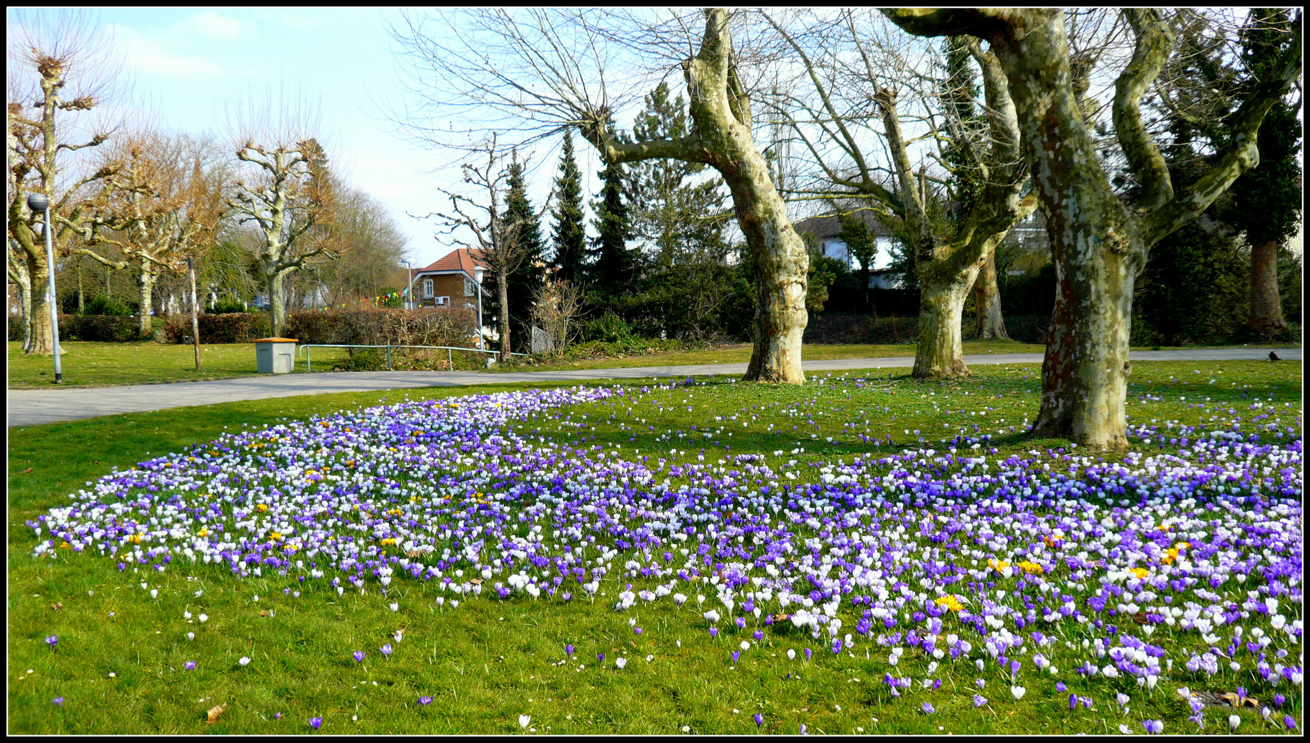 Frühlingsbeginn in Rheinfelden.