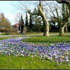 Frühlingsbeginn in Rheinfelden.