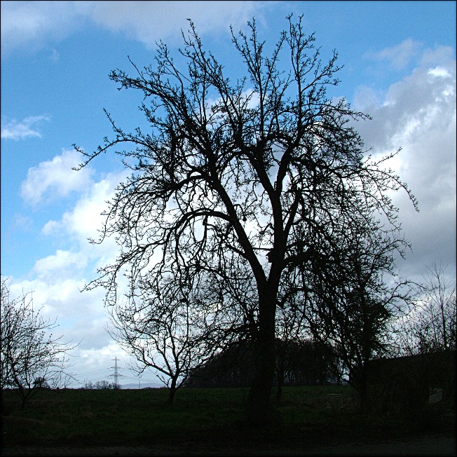 Frühlingsbeginn, widerlicher