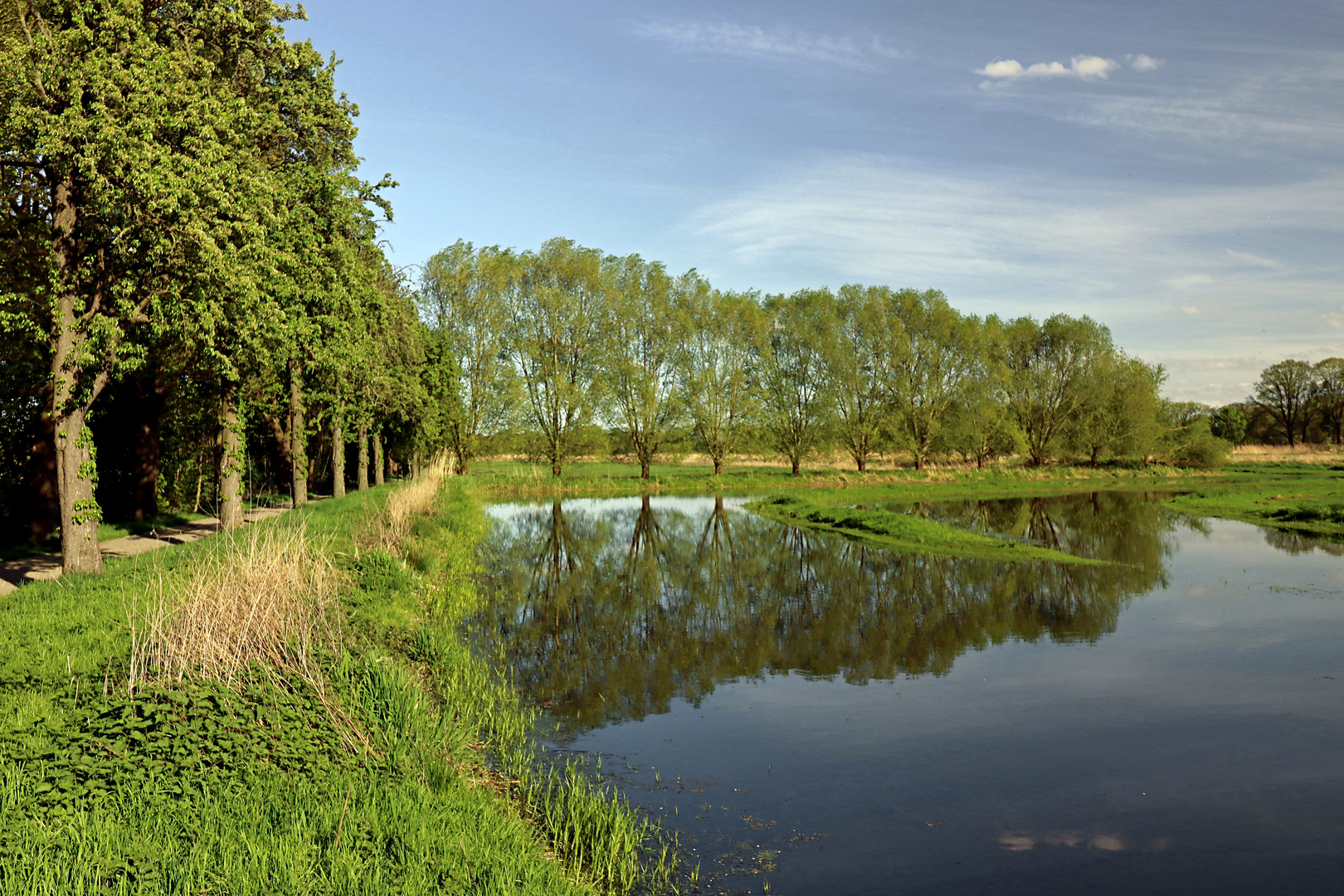 Frühlingsbläue überm Rieselteich