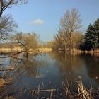 Frühlingsbläue überm Teich