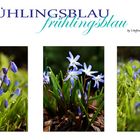 Frühlingsblau