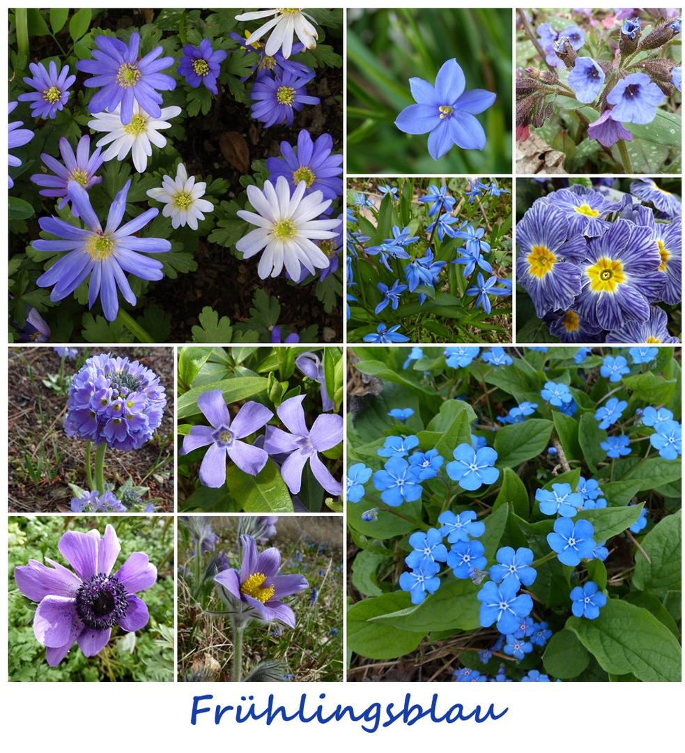 Frühlingsblau