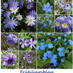 Frühlingsblau