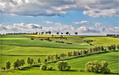 FrühlingsBlick