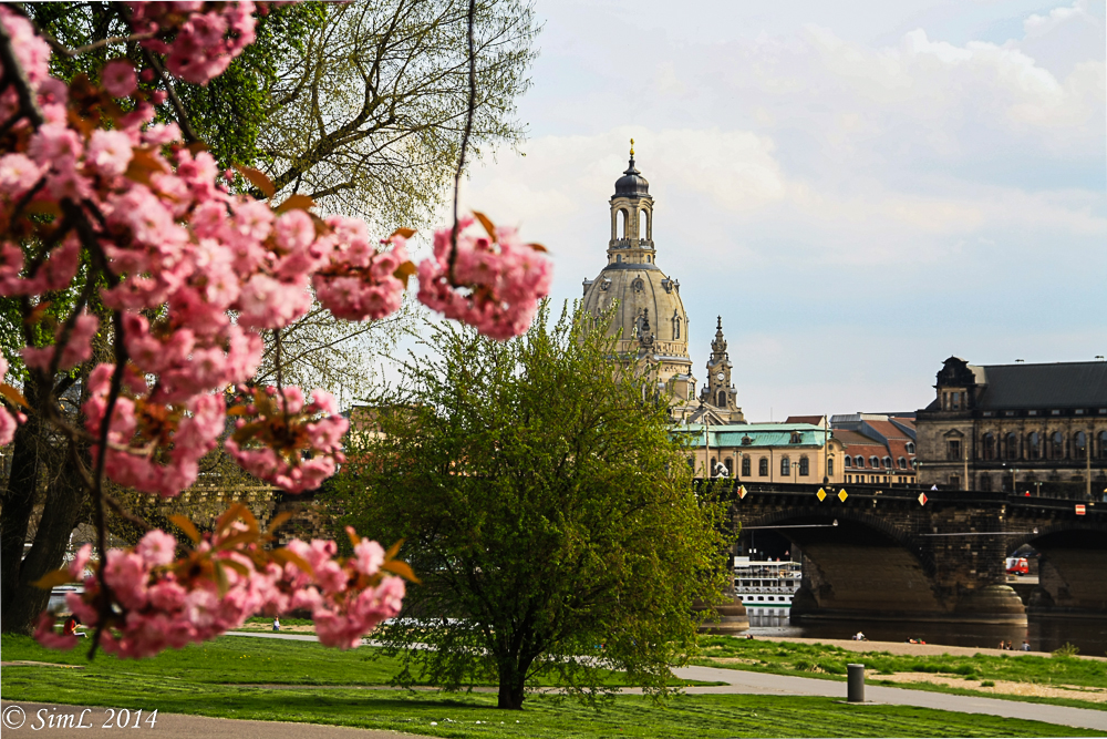 Frühlingsblick