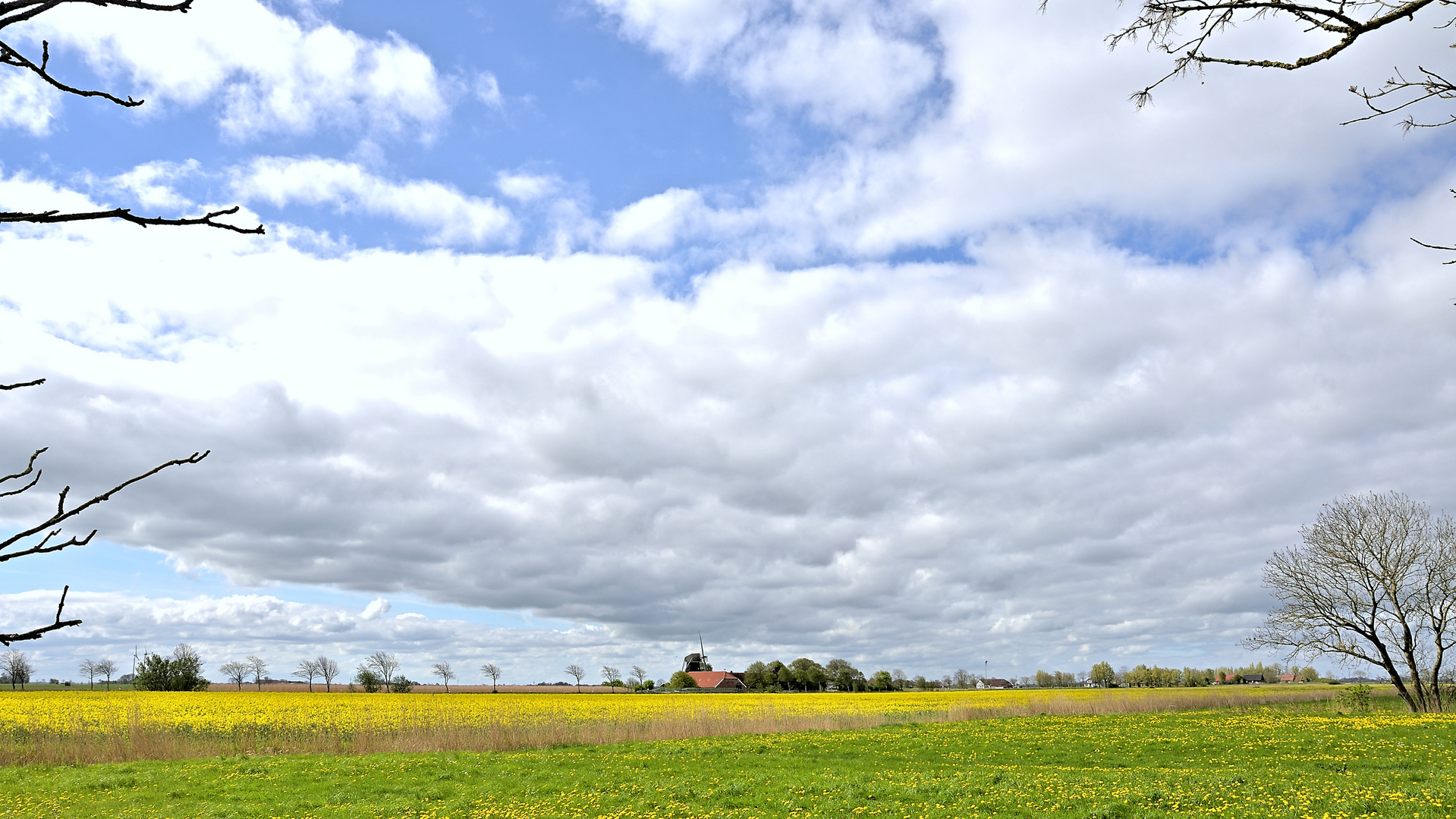 Frühlingsblick