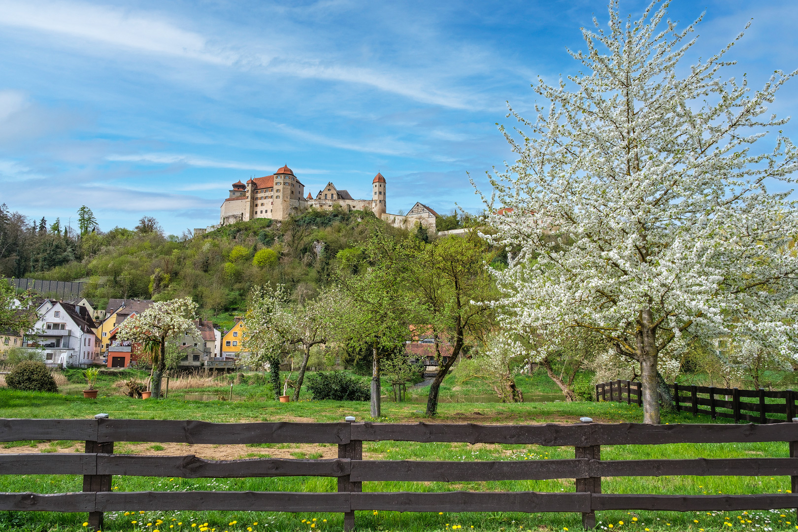 Frühlingsblick auf die Harburg