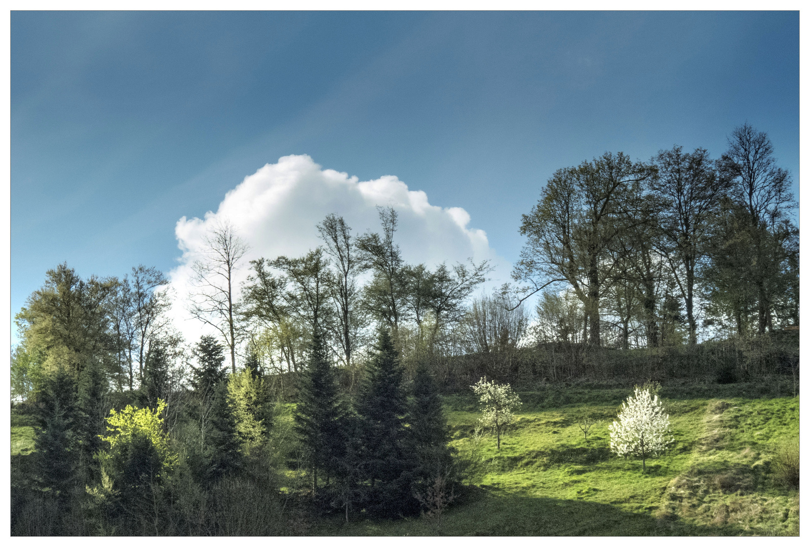 Frühlingsblick aus meinem Fenster