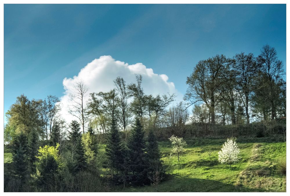 Frühlingsblick aus meinem Fenster