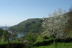 Frühlingsblick