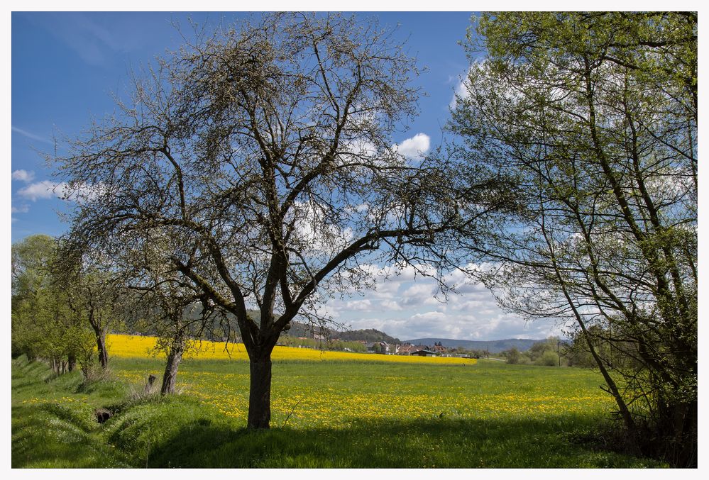 Frühlingsblick