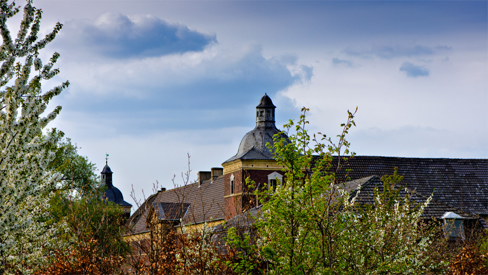 Frühlingsblick