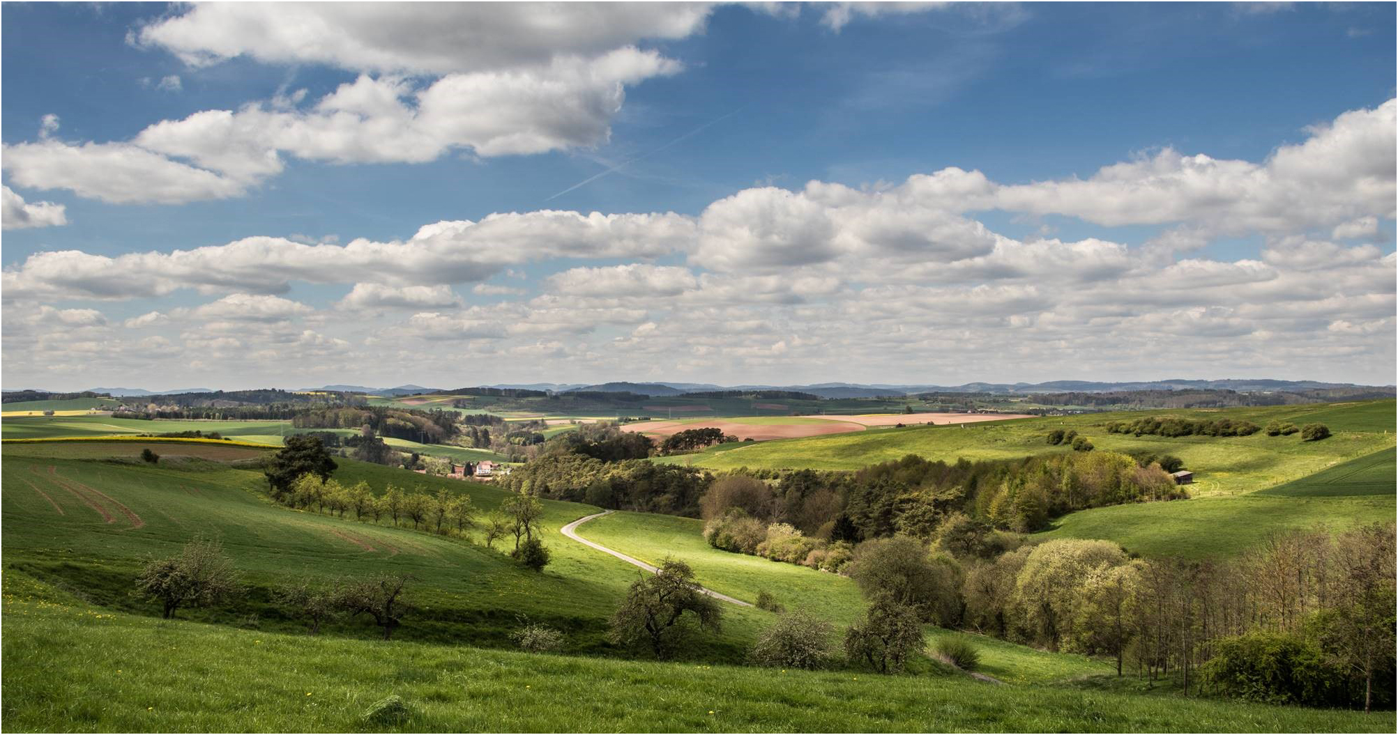 FrühlingsBlick ins Sauerland III