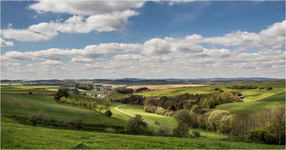 FrühlingsBlick ins Sauerland III