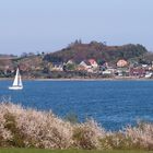 Frühlingsblick nach Dänemark