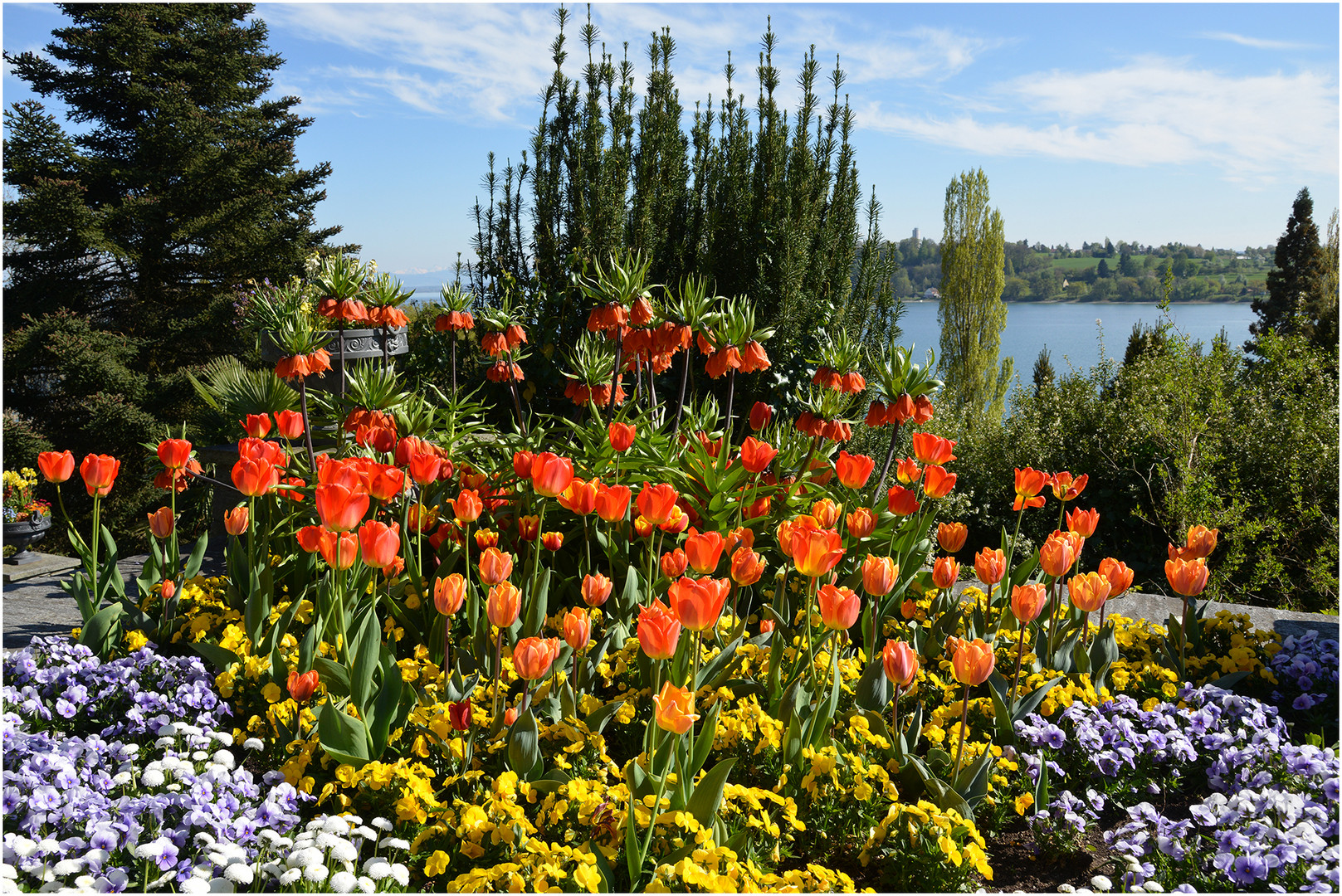 Frühlingsblüte auf der Mainau , Mainau im April 2014