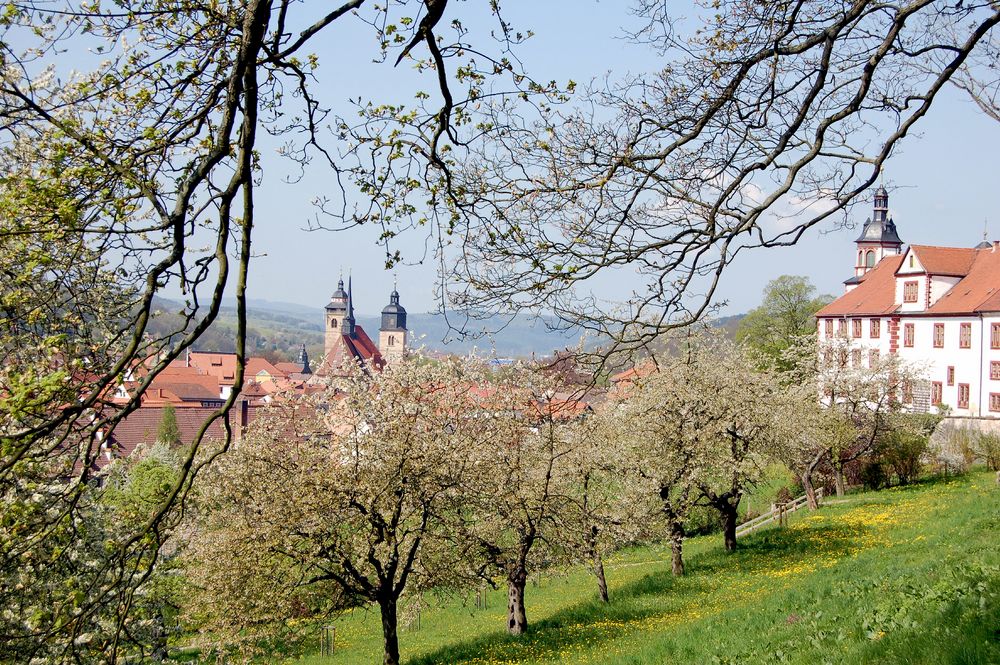 Frühlingsblüte in Schmalkalden