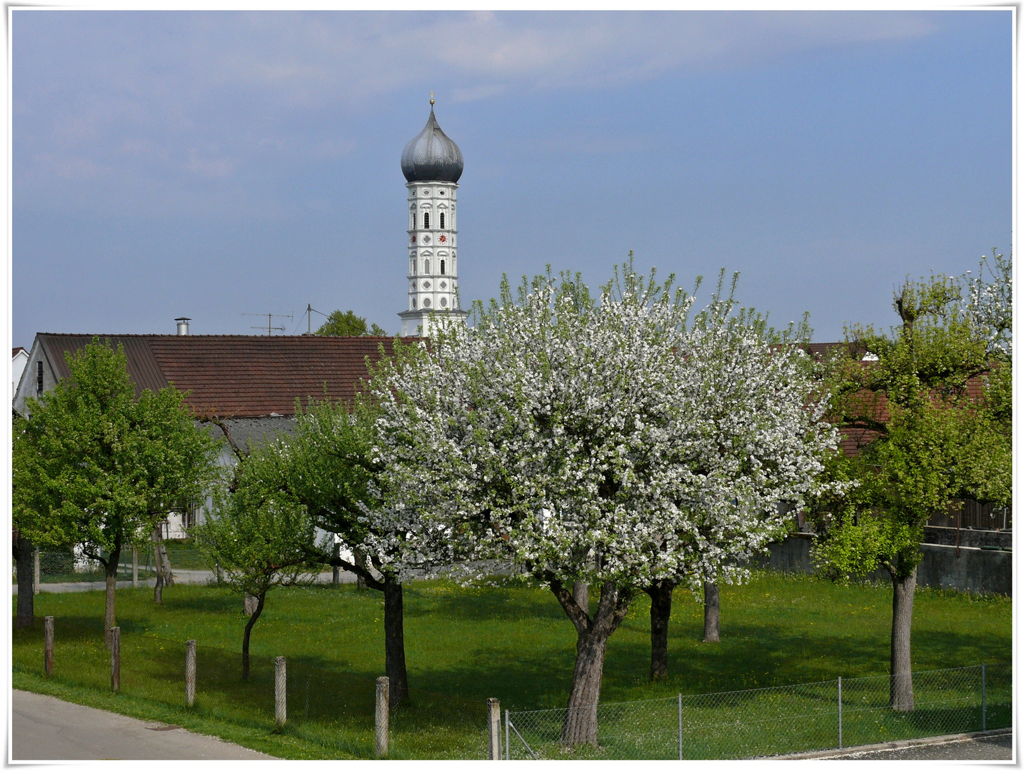 Frühlingsblüten...