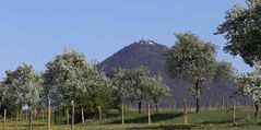 Frühlingsblüten am Milesovka, dem mit 836m höchsten Gipfel...