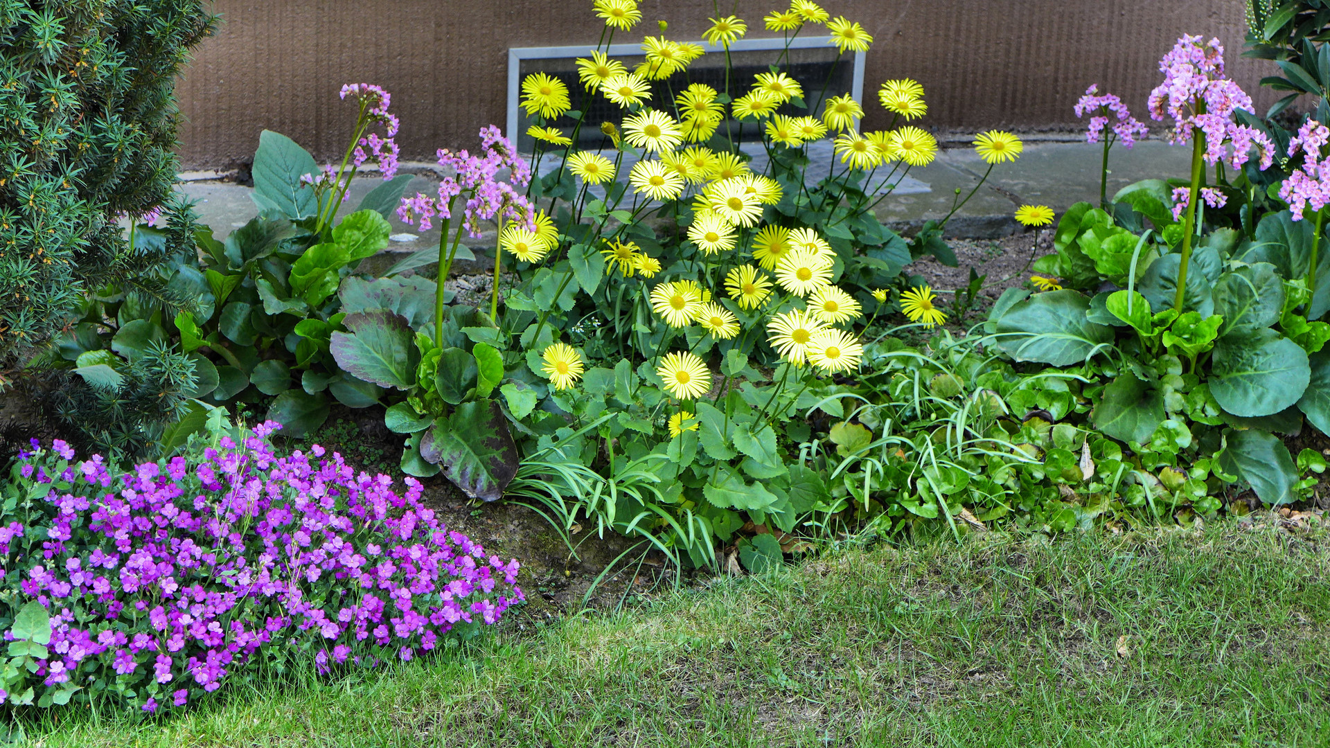 Frühlingsblumen