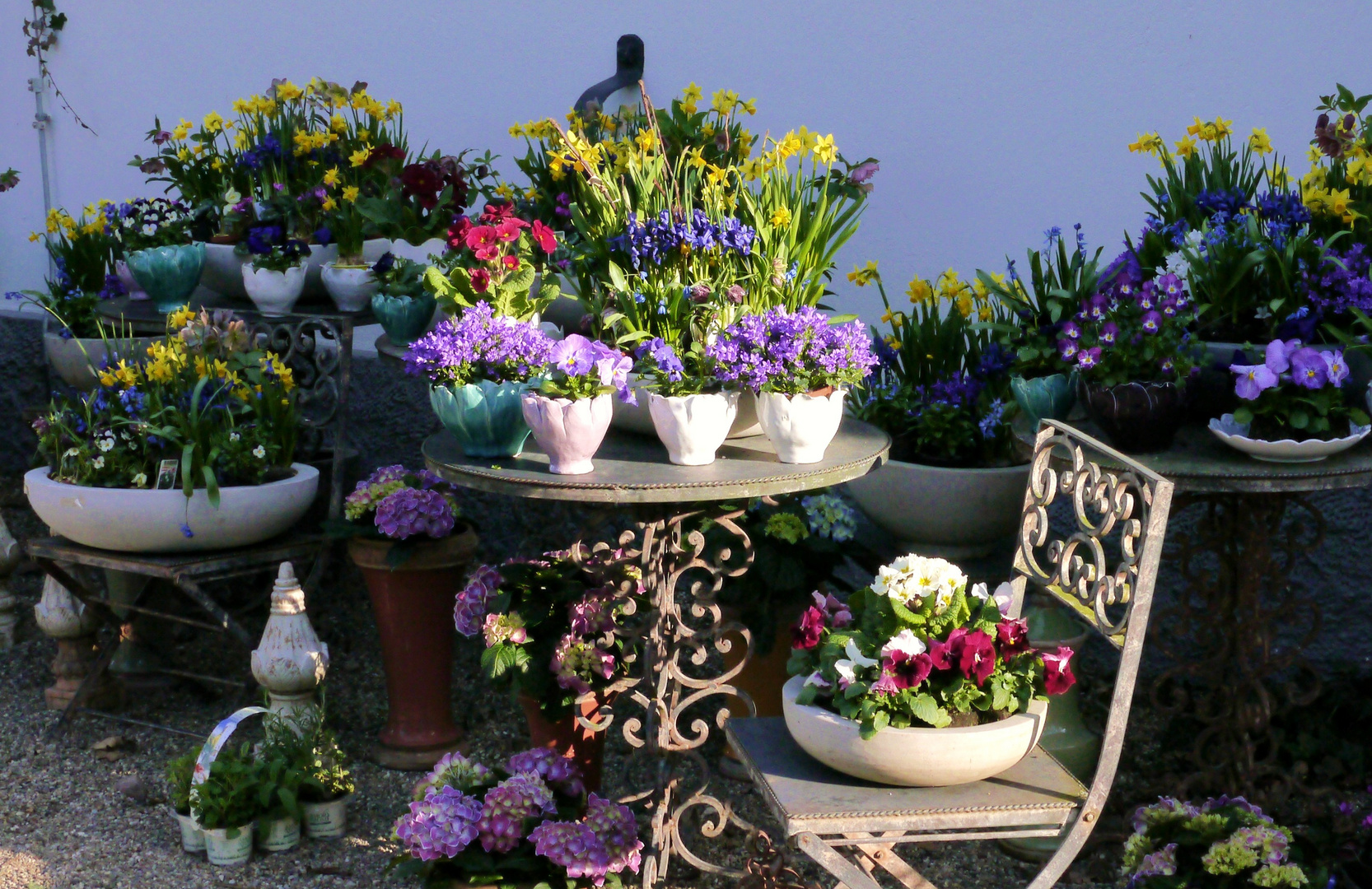 Fruhlingsblumen Arrangement Foto Bild Pflanzen Pilze Flechten Bluten Kleinpflanzen Gartenpflanzen Und Bluten Bilder Auf Fotocommunity