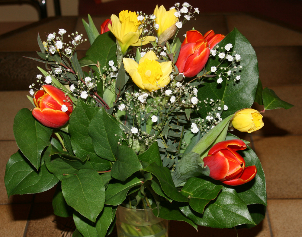 Frühlingsblumen