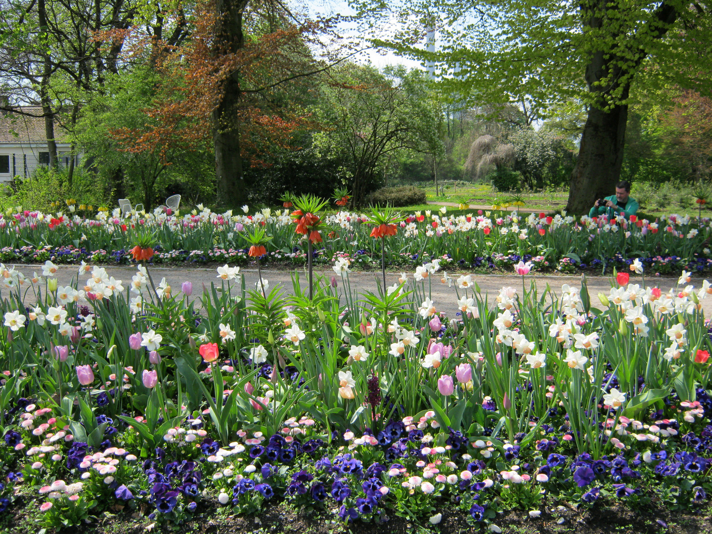 Frühlingsblumen I Foto & Bild | deutschland, europe, bayern Bilder auf