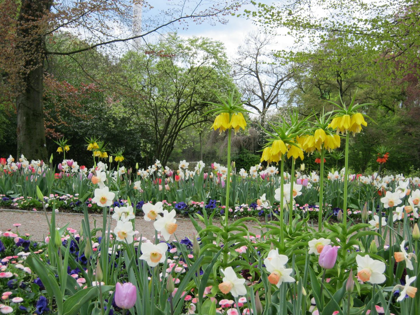 Frühlingsblumen III