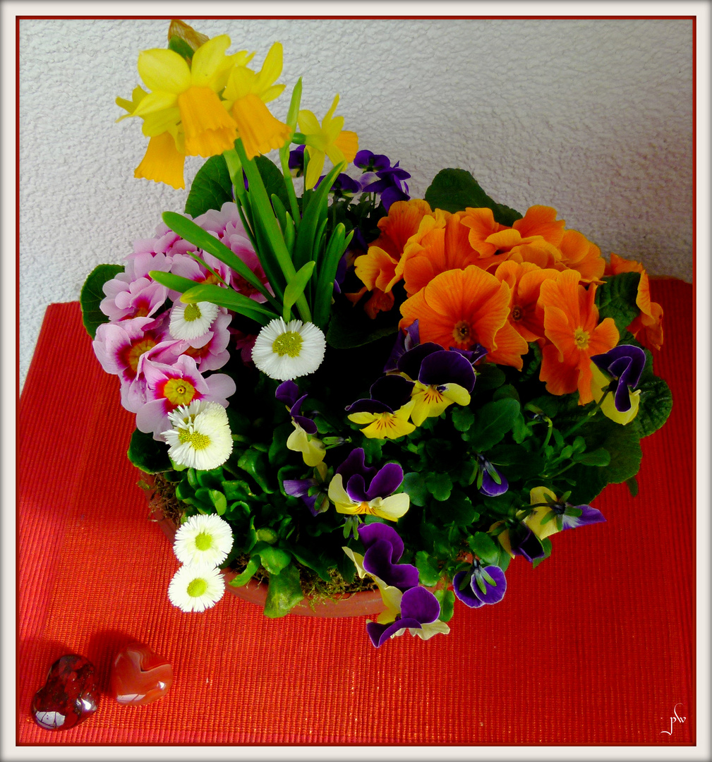 Fruhlingsblumen Von Einem Mann Den Ich Sehr Lieb Habe Danke Mein Schatz Foto Bild Emotionen Liebe Allerlei Bilder Auf Fotocommunity