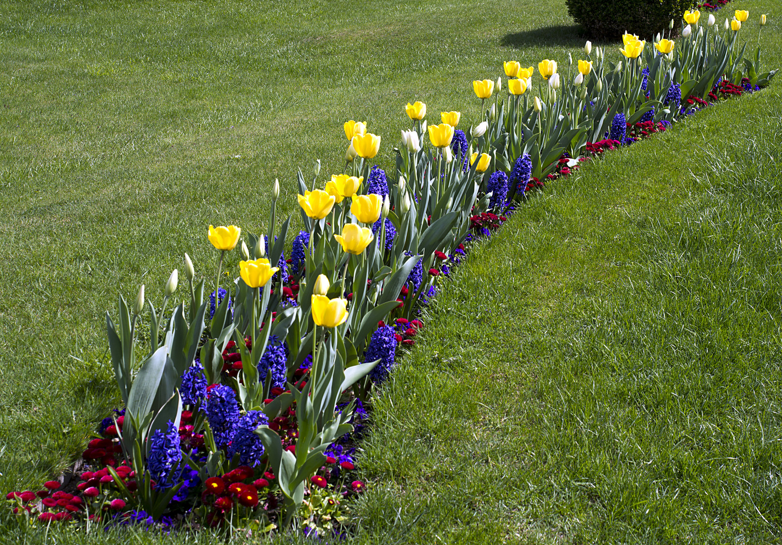 frühlingsblumenbogen