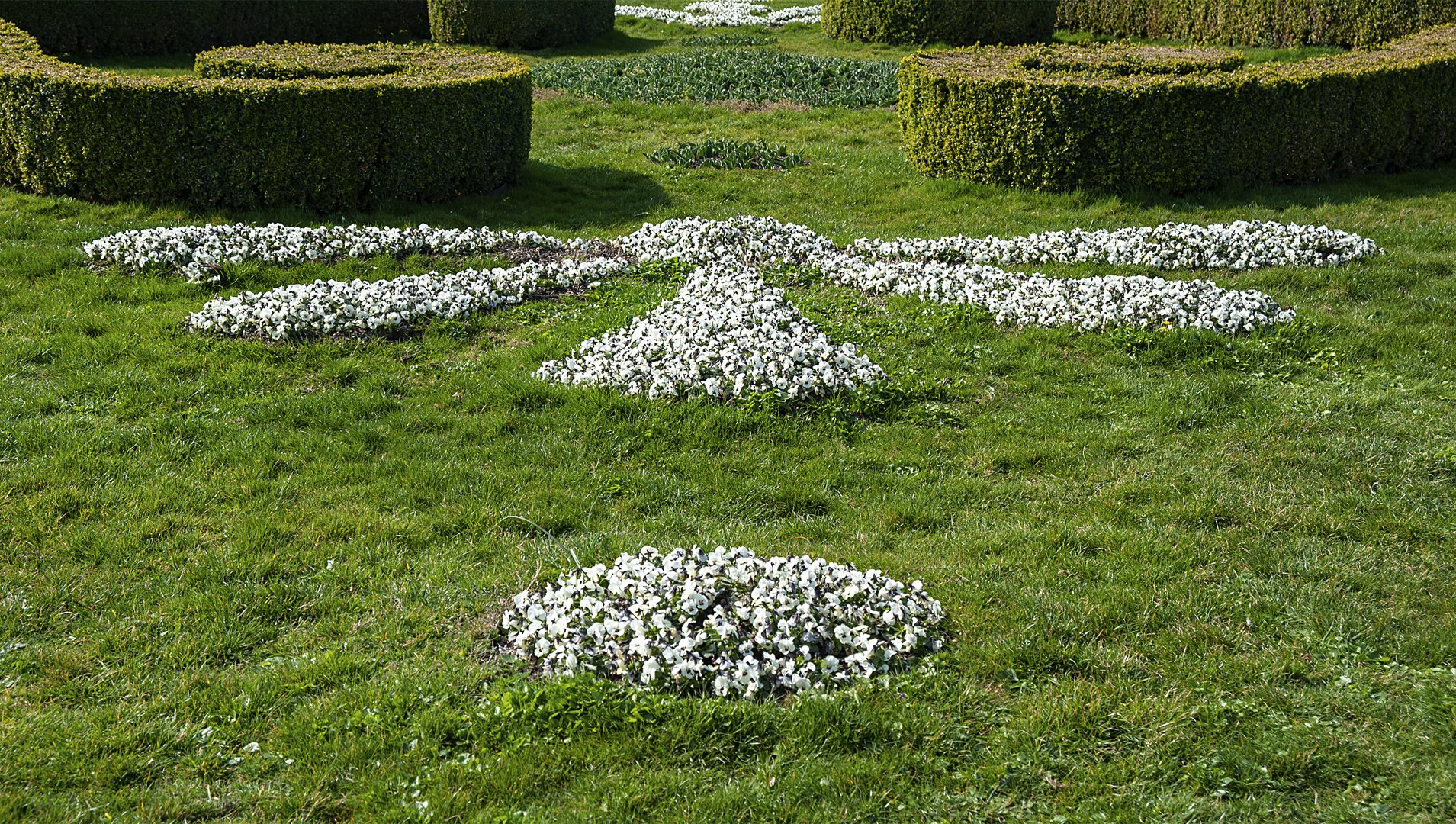 frühlingsblumenmuster