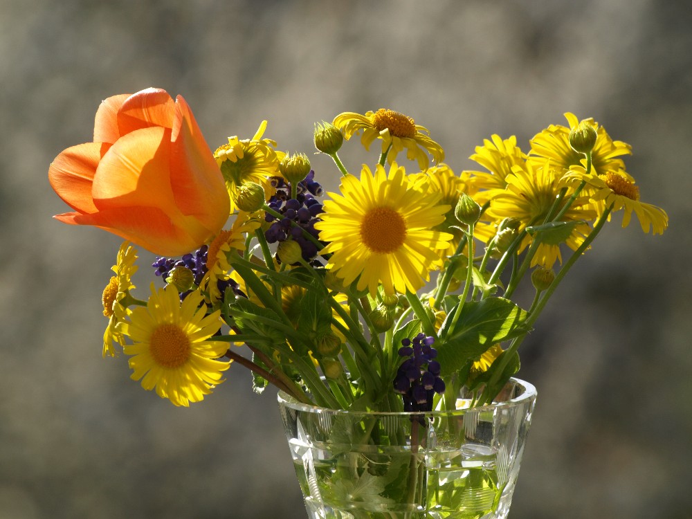 Frühlingsblumenstrauß