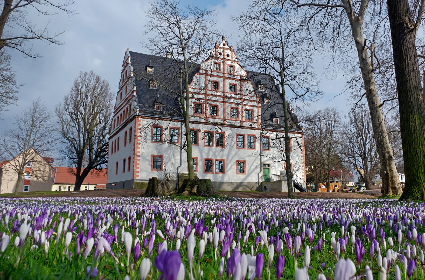 Frühlingsblumenteppich vor dem Schloss