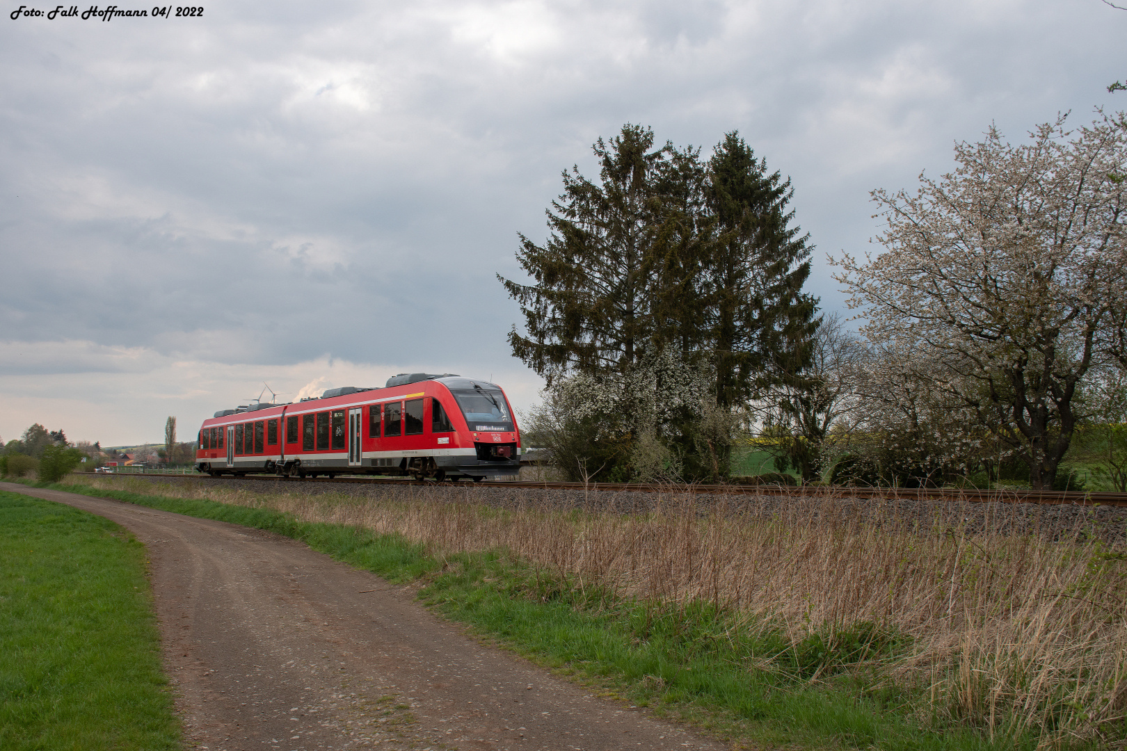 Frühlingsboten