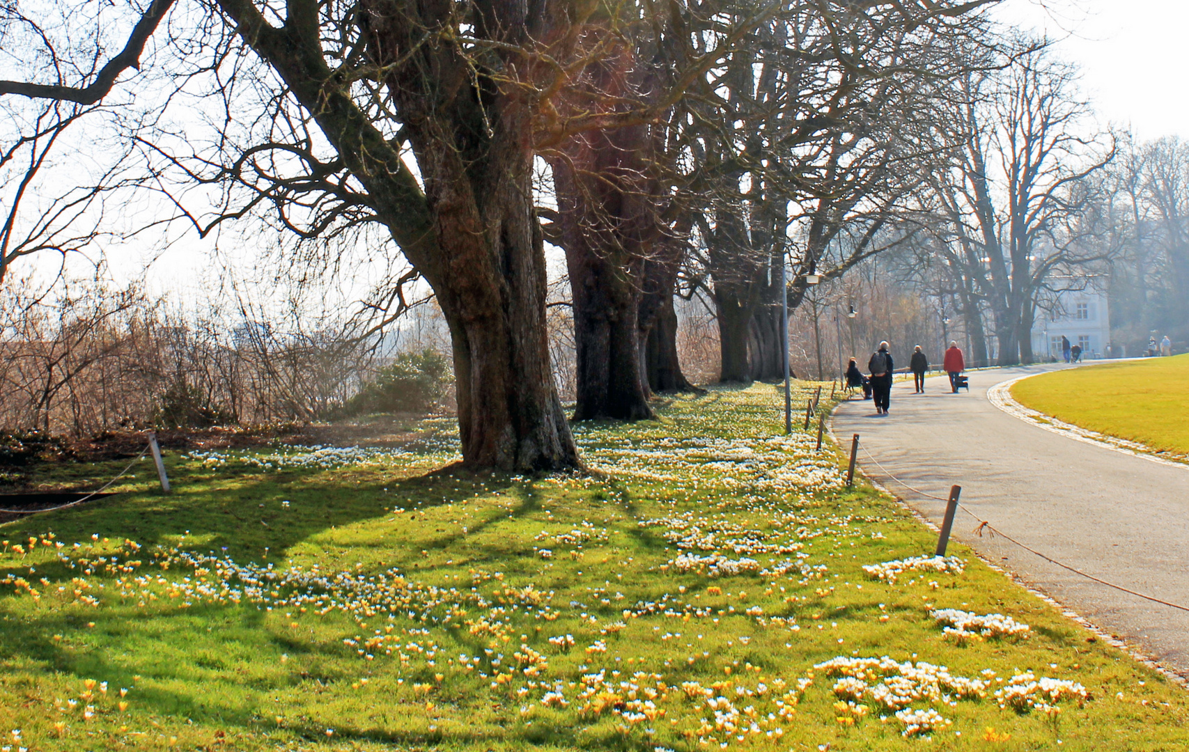 Frühlingsboten