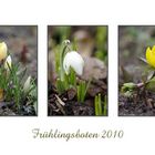 Frühlingsboten 2010