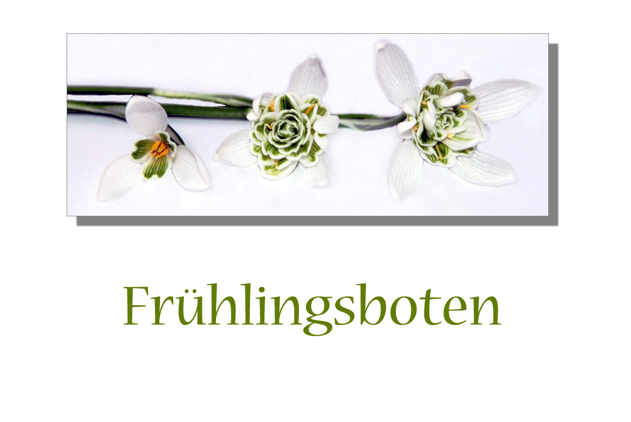 Frühlingsboten...